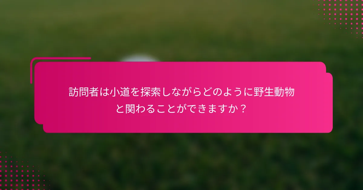 訪問者は小道を探索しながらどのように野生動物と関わることができますか？